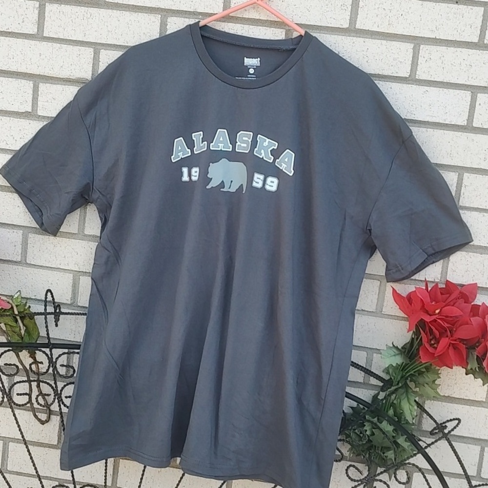 Alaska,T-Shirt - Gray - Picture 3 of 8